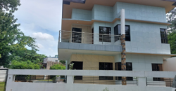 Brand New House And Lot For Sale With Swimming Pool In Multinational Village Paranaque