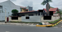 Corner House And Lot For Sale In Pilar Village Las Pinas