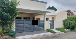 House And Lot For Sale In Pilar Village Las Pinas City