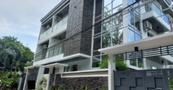 Brand New 4 Units Town House For Sale In Multinational Paranaque