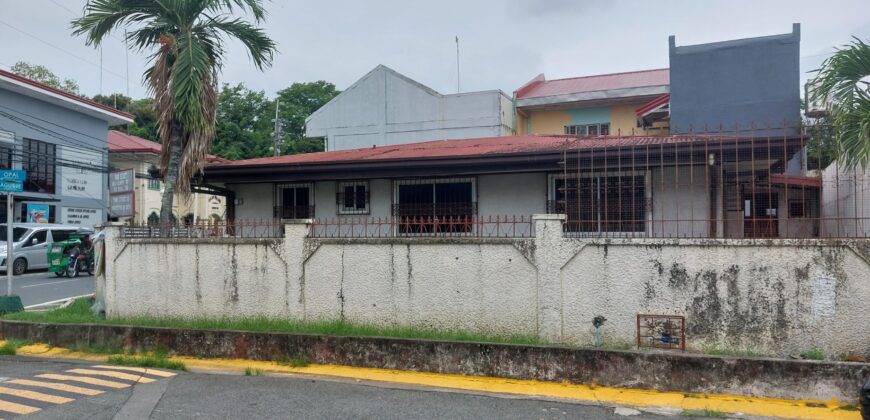 Corner House And Lot For Sale In Pilar Village Las Pinas