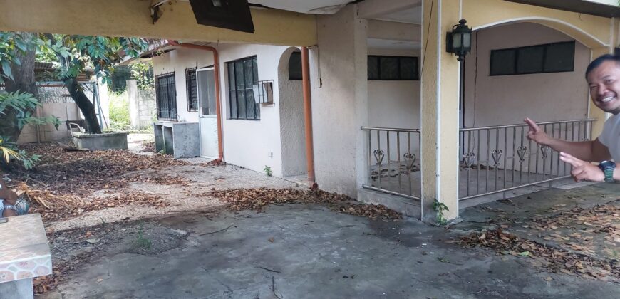 House And Lot For Sale In Severina Paranaque City