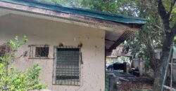 House And Lot For Sale In Severina Paranaque City