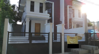 Duplex house and Lot For Sale In pillar Village Las Pinas