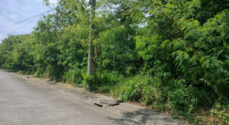 Lot For Sale In BF Homes Paranaque