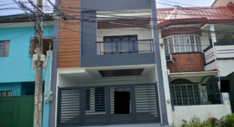 House And Lot For Sale In Remmanville Paranaque