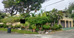 House And Lot For Sale In BF Homes Paranaque