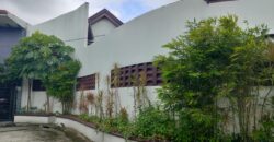 Corner House And Lot For Sale In Springville Bacoor