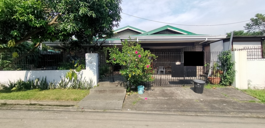 House and Lot For Sale In Sun Valley Paranaque