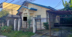 House and Lot For Sale In Pilar Village Las Pinas