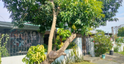 House and Lot For Sale In Sun Valley Paranaque