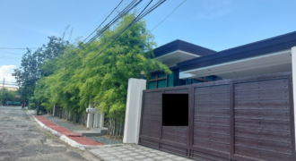 House and Lot For Sale In Marcelo Green Village Paranaque