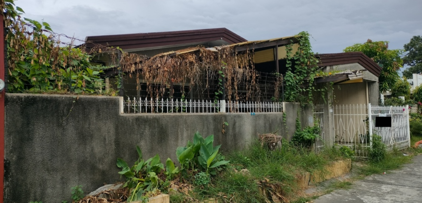 Fixer Upper Bungalow In BF Resort Las Pinas