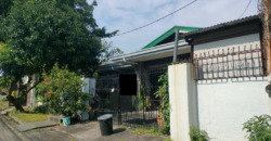 House and Lot For Sale In Sun Valley Paranaque