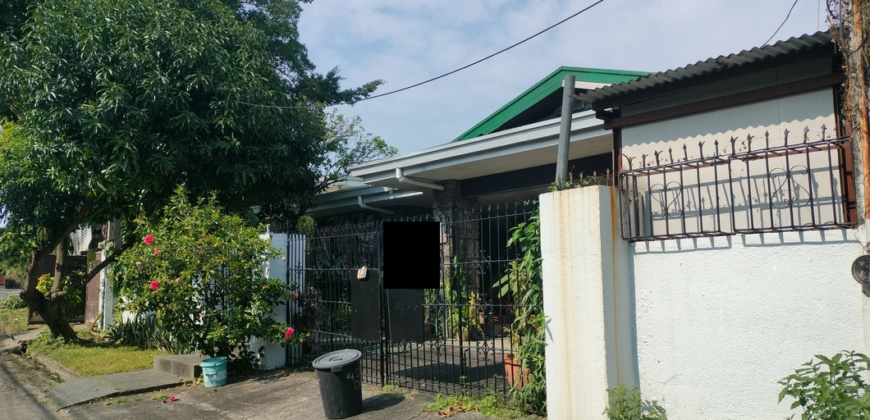 House and Lot For Sale In Sun Valley Paranaque