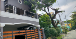 House and Lot For Sale In Remman Ville Paranaque