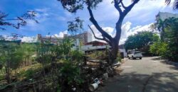 Lot For Sale in Sun Valley Paranaque