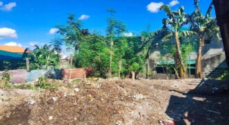 Lot For Sale in Sun Valley Paranaque