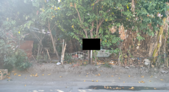 Lot For Sale In BF Resort Las Pinas