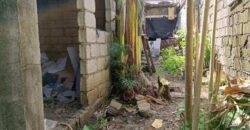 House And Lot For Sale In Las Pinas