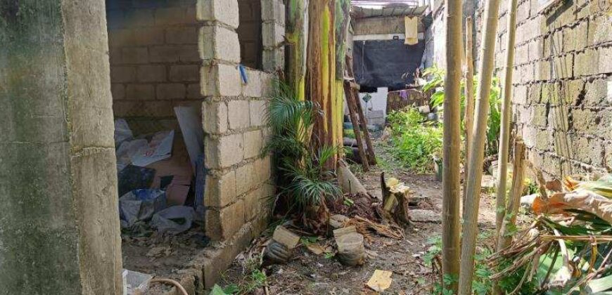 House And Lot For Sale In Las Pinas