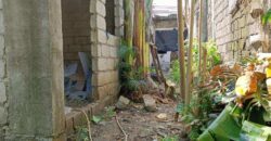 House And Lot For Sale In Las Pinas