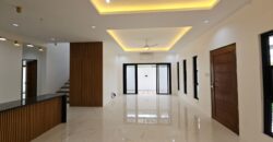 Brand New House & Lot For Sale in BF Homes Paranaque