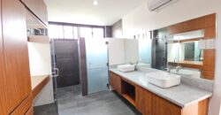 Brand New House & Lot For Sale in BF Homes Paranaque