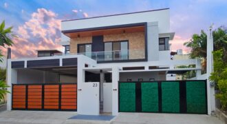 Brand New House & Lot For Sale in BF Homes Paranaque