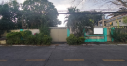 Fixer Upper House And Lot For Sale In BF Homes Paranaque