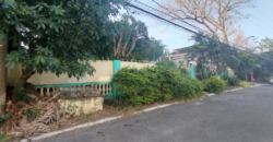Fixer Upper House And Lot For Sale In BF Homes Paranaque