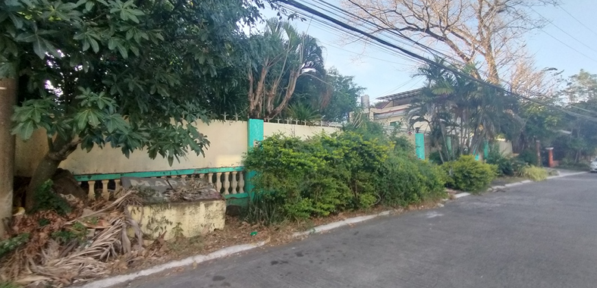 Fixer Upper House And Lot For Sale In BF Homes Paranaque