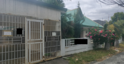 Bungalow House And Lot With Attic For Sale In BF Resort Las Pinas