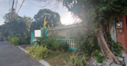 Fixer Upper House And Lot For Sale In BF Homes Paranaque