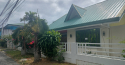 Bungalow House And Lot With Attic For Sale In BF Resort Las Pinas