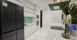 Crystal Oasis and its Modern Design Charm. Corner House in BF Homes Paranaque