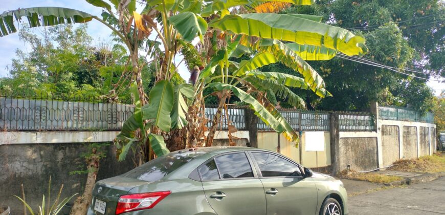 Vacant Lot for Sale in Ups5 Paranaque