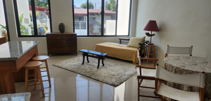 Duplex House And Lot For Sale In BF Homes Las Pinas
