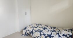 Duplex House And Lot For Sale In BF Homes Las Pinas