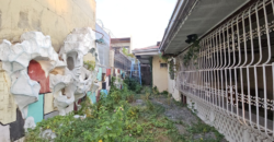Fixer Upper Bungalow in a Nice Subdivision Inside BF Homes Paranaque