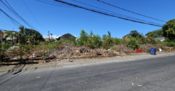 841sqm Residential Lot for Sale in BF International Las Pinas