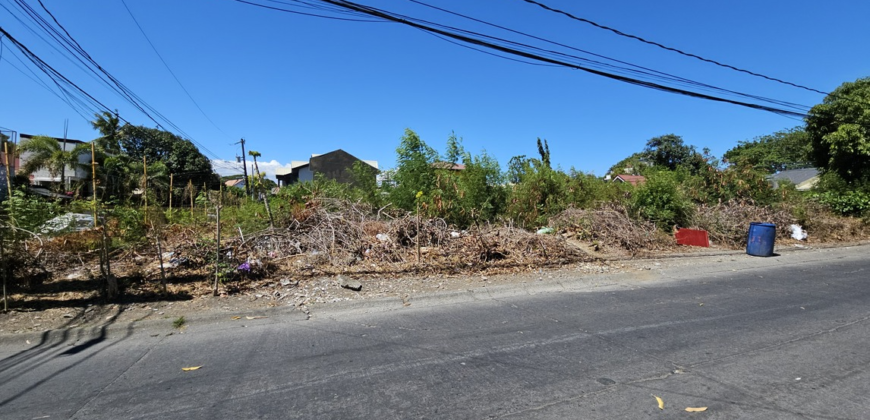 841sqm Residential Lot for Sale in BF International Las Pinas