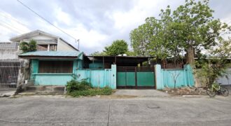 Old Bungalow House for Sale in Las Pinas
