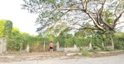 Farm/Residential Lot in Brgy Ambulong, Tanauan, Batangas