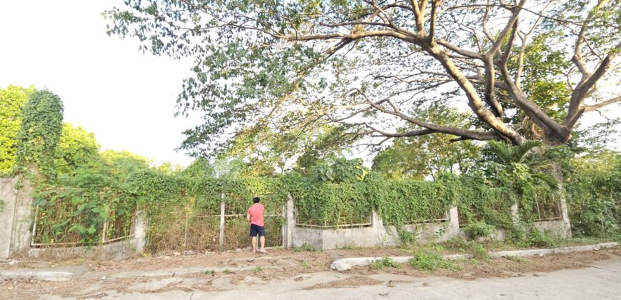 Farm/Residential Lot in Brgy Ambulong, Tanauan, Batangas