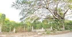 Farm/Residential Lot in Brgy Ambulong, Tanauan, Batangas