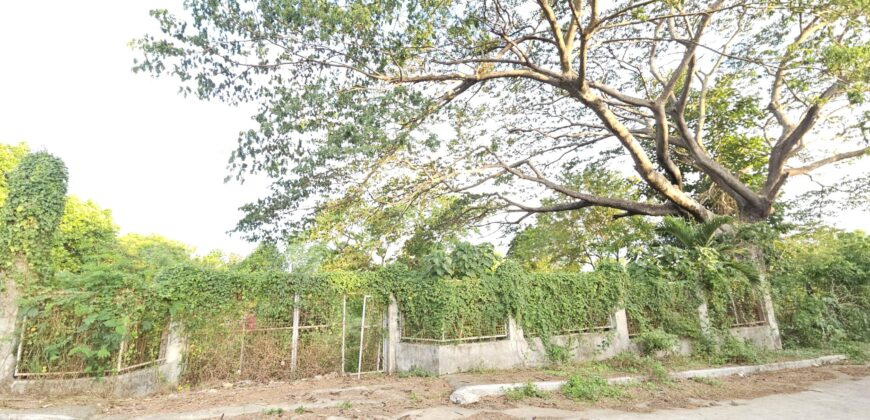 Farm/Residential Lot in Brgy Ambulong, Tanauan, Batangas