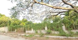 Farm/Residential Lot in Brgy Ambulong, Tanauan, Batangas