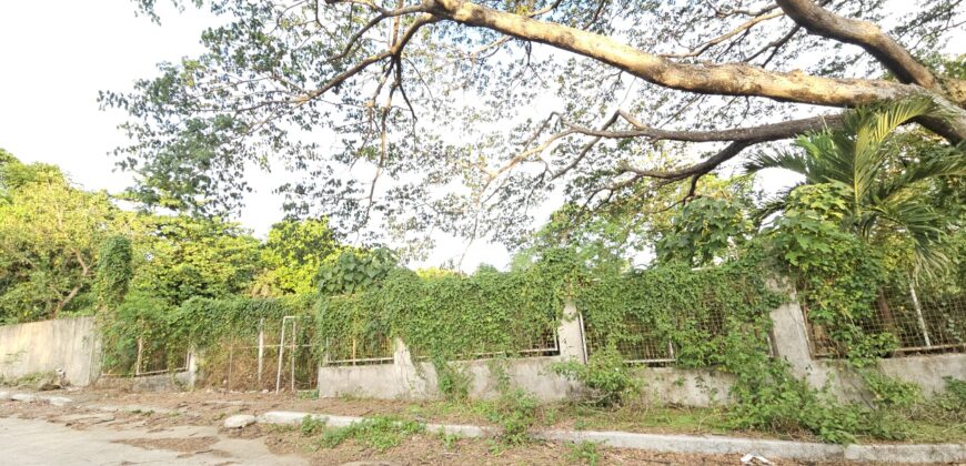 Farm/Residential Lot in Brgy Ambulong, Tanauan, Batangas