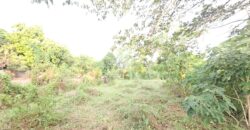Farm/Residential Lot in Brgy Ambulong, Tanauan, Batangas